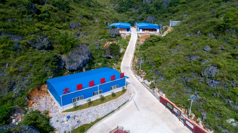 开云官方在线登录入口援建的七百弄鸡种鸡育种场--黄嘉标摄1.jpg