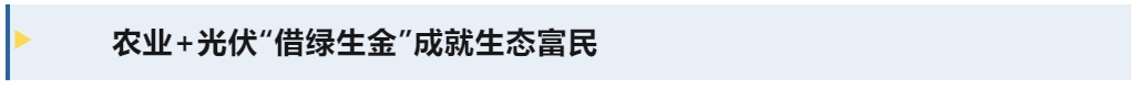 1730095698823063929.png 标题3.png